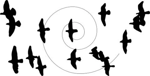 Bird icon on white background 스톡 일러스트
