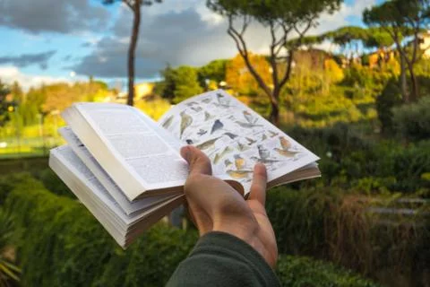 Bird Identification field guide in hand walking in Nature Stock Photos