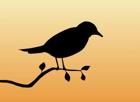 Bird Stock Illustration