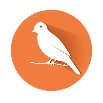 Bird Stock-Illustration