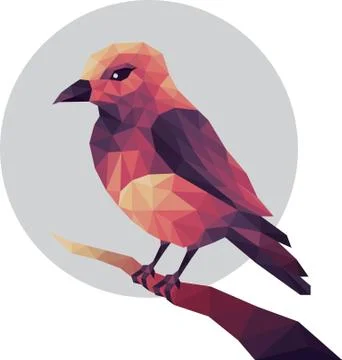 Bird Stock Illustration