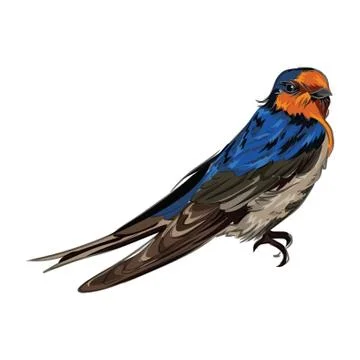 Bird イラスト素材