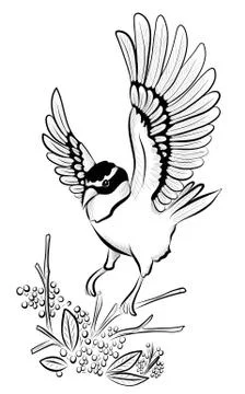 Bird Illustrazione stock