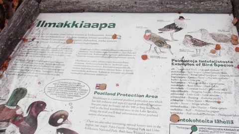 A bird information board in a bird path in Ilmakkiaapa nature protection area Stock Footage 221274592