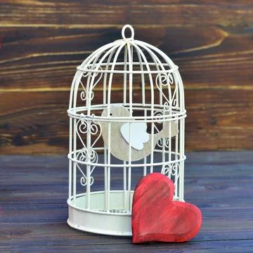 Bird inside bird cage Stock-Fotos