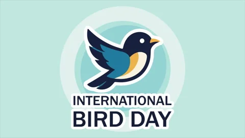 Bird international day logo Stock Footage 331267683