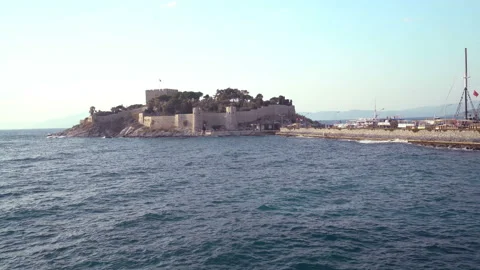 Bird island Stockbeeldmateriaal 145055689