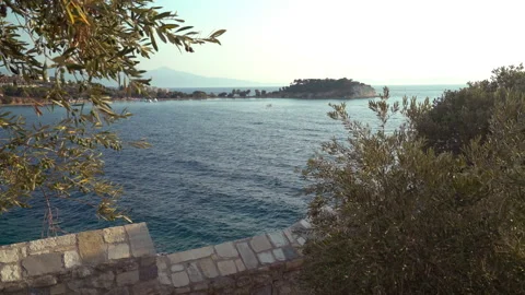 Bird island 動画素材 145070216