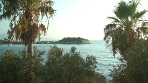 Bird island Stockbeeldmateriaal 145073487