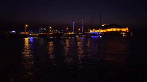 Bird island at night 動画素材 145124624