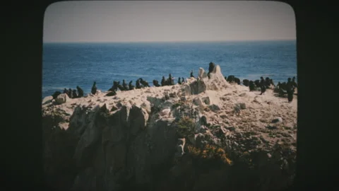 Bird Island at Point Lobos State Natural Reserve, California, United States.  Stock Footage 136731918