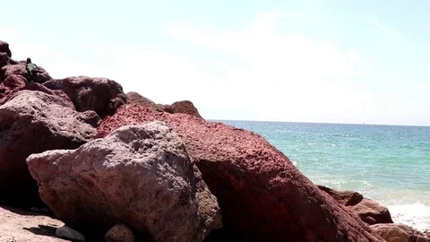 Bird jumping on red rocks, ocean in background Stock Footage 78041673