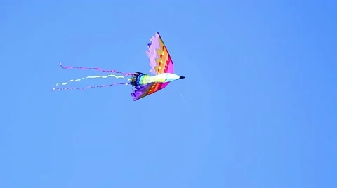 Bird Kite in the Sky 스톡 동영상 42437406