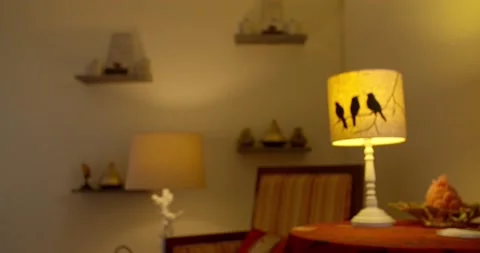 Bird lamp at sofa 스톡 동영상 143263882