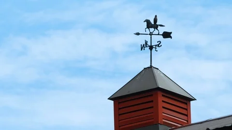 Bird lands on a weathervane Stock Footage 130143906