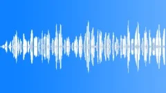 BIRD, LARKSound Effect