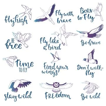 Bird lettering text fly high and flying birdie swallow with feather wings Stock Illustration