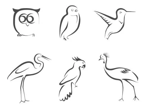 Bird lined design Stock Illustration