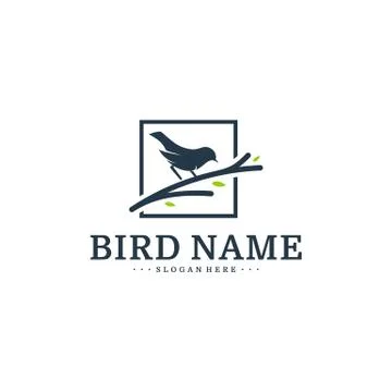 Bird logo Design Vector Template. Bird icon vector concept Stock Illustration