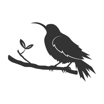 Bird logo vector illustration design Stock Illustration