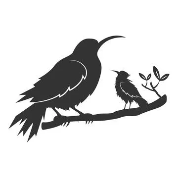 Bird logo vector illustration design Stock Illustration