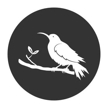 Bird logo vector illustration design Illustrazione stock