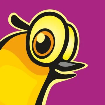 Bird look. Vector color flat illustration. Isolated on color background Stockillustratie