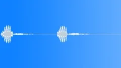BIRD, LOON Sound Effect