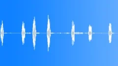 BIRD, LOON Sound Effect