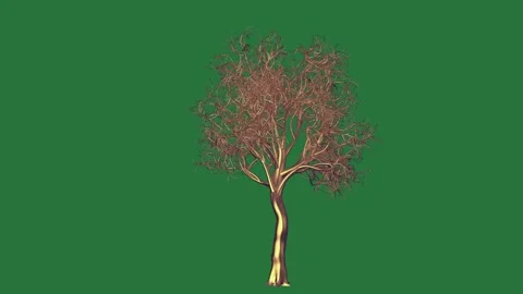 Bird Looping With Deer - Chroma Key Green Screen Footage Stock Footage 338017797