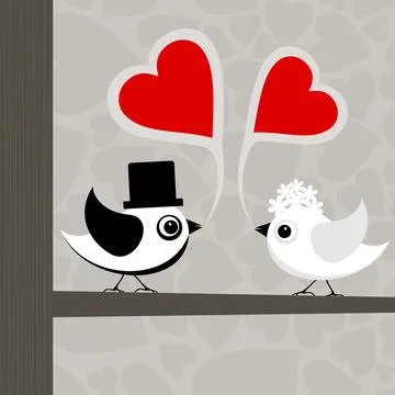 Bird of love3 Stock Photos