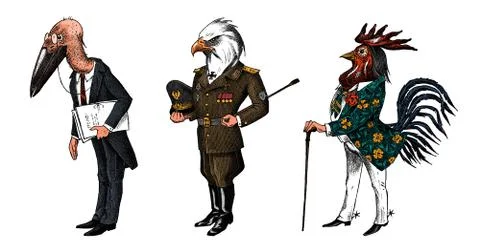 Bird man, Bald eagle and marabou head in military uniform. Dressed Rooster or Stock Illustration