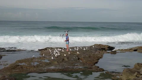 BIRD MAN CRONULLA 1 動画素材 162954750