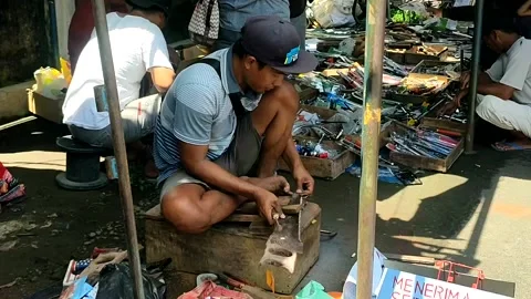 Bird market Stock Footage 231862291