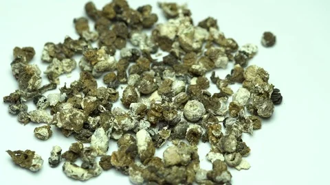 Bird mess or droppings Stockbeeldmateriaal 79847299