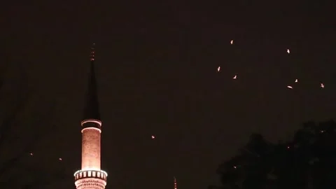 Bird migration at night. Flock of birds flying . Ornithology Stock Footage 284083692