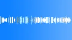 BIRD, MOCKINGSound Effect