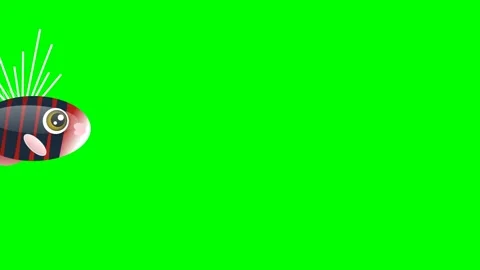 Bird Motion Isolated Green Screen Stock Video Stockbeeldmateriaal 336959173