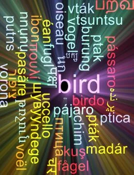 Bird multilanguage wordcloud background concept glowing Stock Illustration