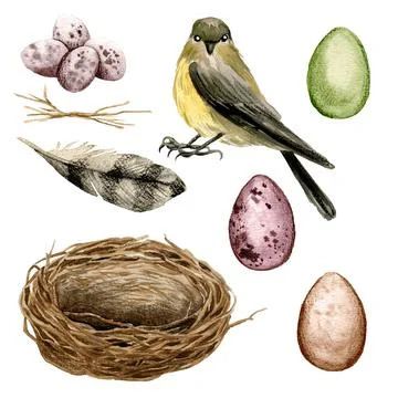 Bird with a nest and eggs, easter decor Stock Illustration