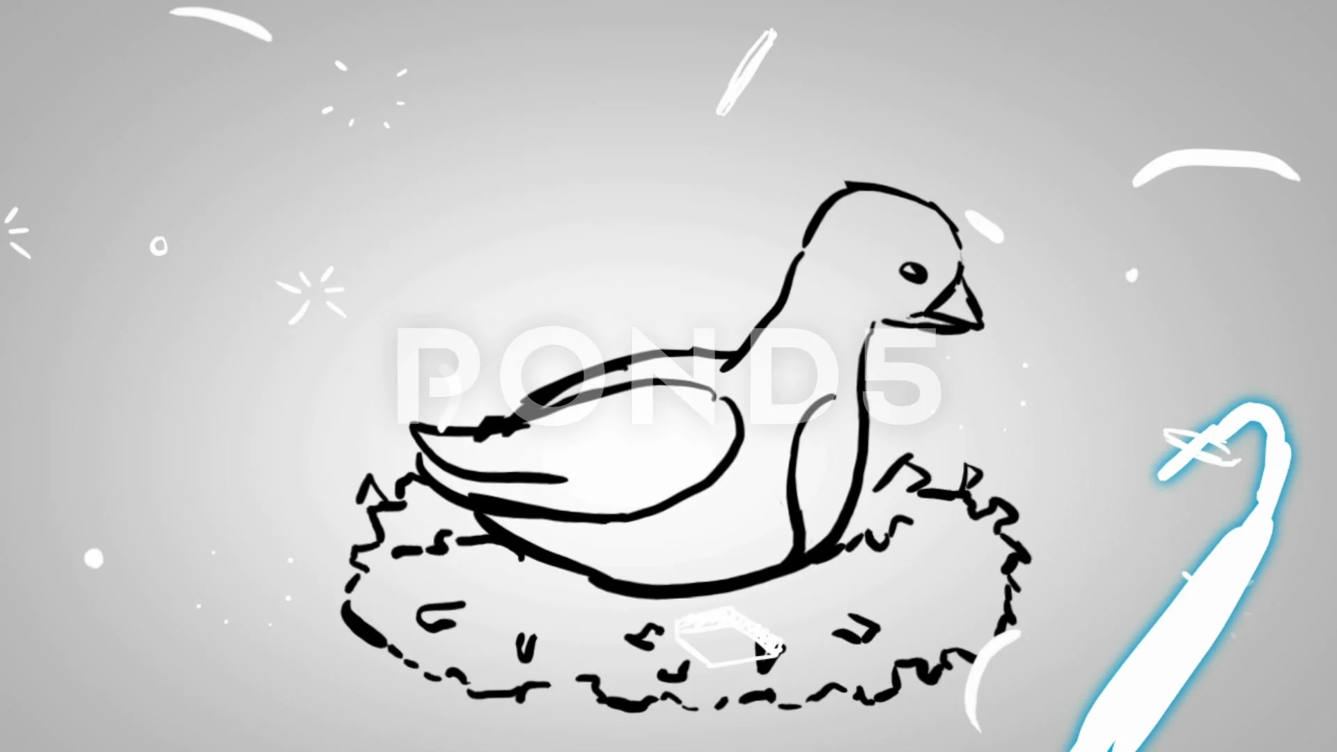 Bird nest - Animation - outline - White ... | Stock Video | Pond5