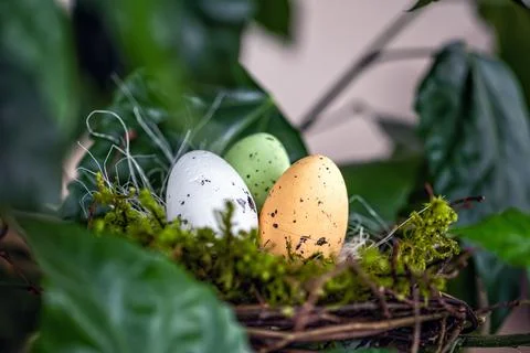 Bird  nest with colored Easter eggs on branches of green trees, easter decora Stock Photos