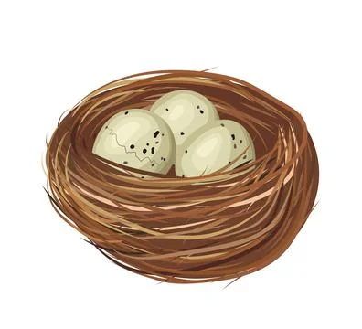 Bird Nest Containing Three Spotted Eggs, Cracked Egg, Waiting for Hatching Illustrazione stock