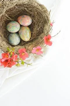 Bird nest with decorated Easter eggs Stock Photos