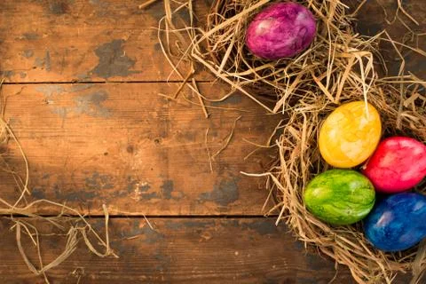 Bird nest with easter eggs and empty space Foto stock