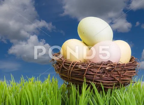 Bird nest with easter eggs Stock Illustration