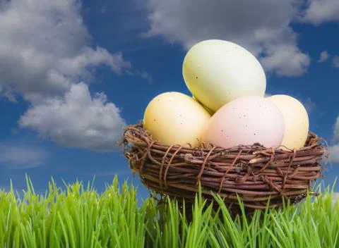 Bird nest with easter eggs Stock Illustration