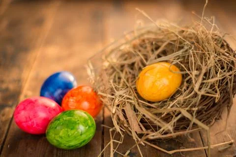 Bird nest with easter eggs Foto stock