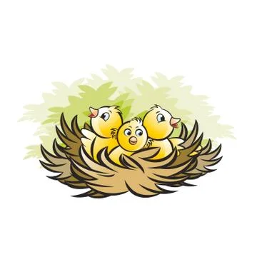 Bird nest Stock Illustration