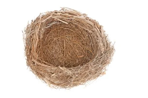 Bird nest Stock Photos